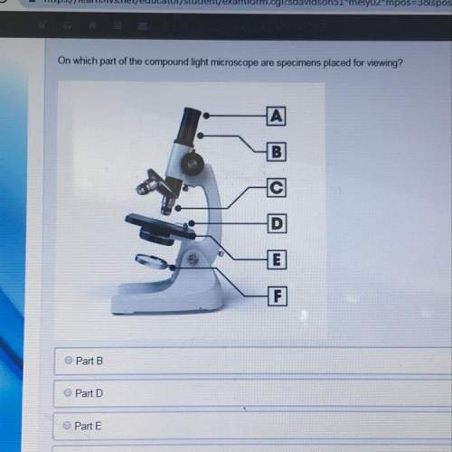On which part of the compound light microscope are specimens placed for viewing? b d e f