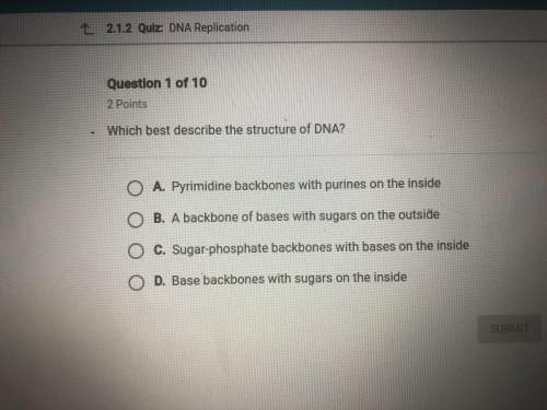Which best describes the structure of dna?