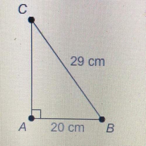 What is m2b? round the value to the nearest degree. [1] • 29 cm a 20 cm b