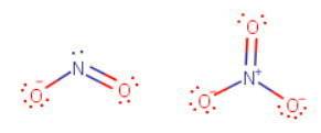 What is the difference between the nitrite ion and the nitrate ion?