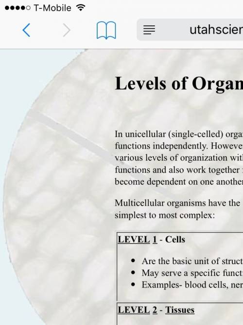 The levels of organization in one organism
