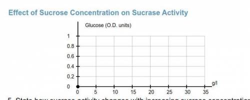 Increase of activity was greater when sucrase concentration went from 2.5 to 7.5 g/l or when it went