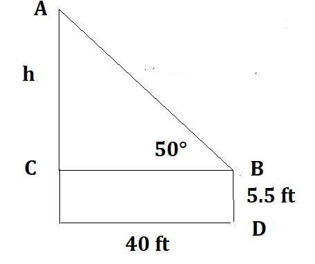 The angle of elevation from a viewer to the top of a flagpole is 50°. the viewer is 40 ft away and t