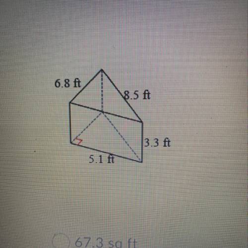 I need help lol. Find the lateral surface area of the figure to the nearest tenth. 67.3 sq ft 99.9 s
