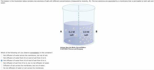 The beaker in the illustration below contains two solutions of salt with different concentrations (m