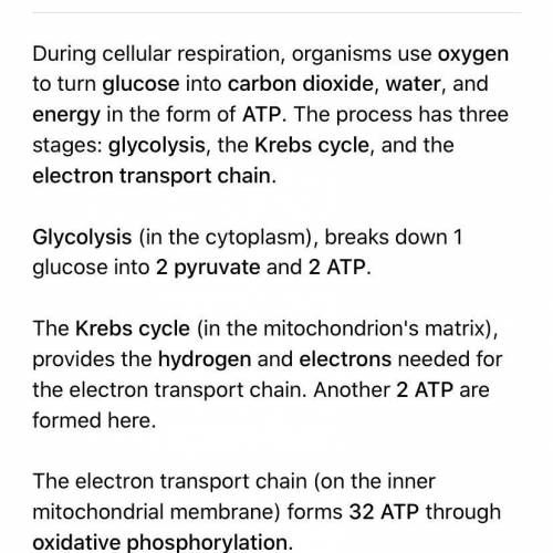 What are the purpose, the mechanisms, and the end products of Glycolysis?