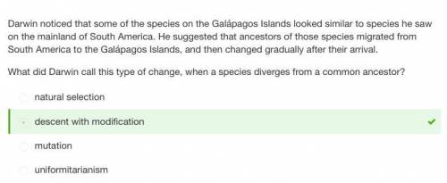 Darwin noticed that some of the species on the Galápagos Islands looked similar to species he saw on