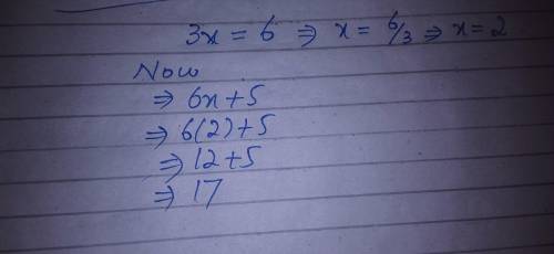 If 3x=6 what is the value of 6x+5