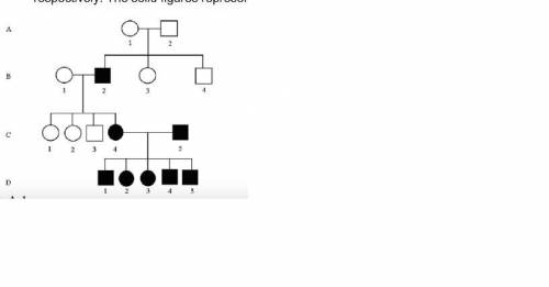 The pedigree in the accompanying illustration shows the inheritance of albinism, a homozygous recess