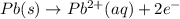 Pb(s)\rightarrow Pb^{2+}(aq)+2e^-