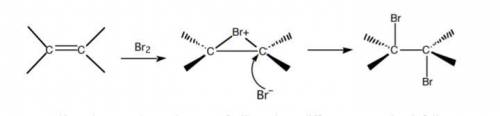 Why is only one diastereomer formed in this reaction? Relate your answer to the mechanism you drew.