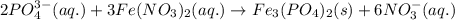 2PO_4^{3-}(aq.)+3Fe(NO_3)_2(aq.)\rightarrow Fe_3(PO_4)_2(s)+6NO_3^-(aq.)