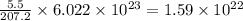 \frac{5.5}{207.2}\times 6.022\times 10^{23}=1.59\times 10^{22}