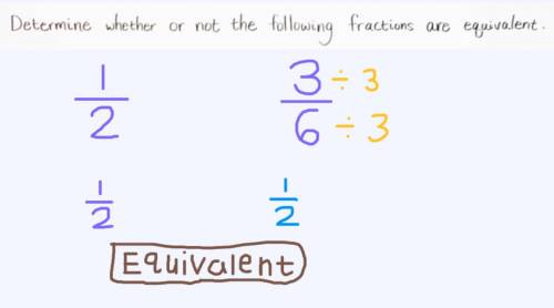 Are the fractions 1/2 and 3/6 equivalent?