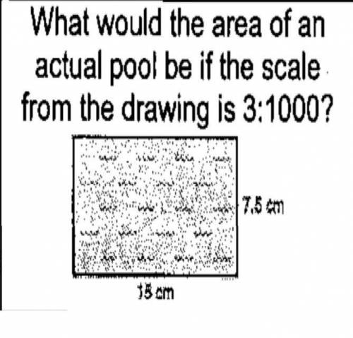 What would the area of an actual pool be in the scale from the drawing is 3:1000
