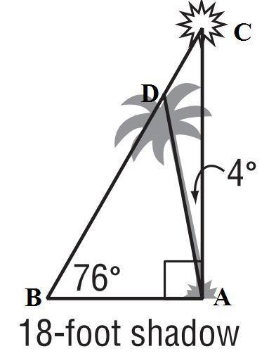 16. When the sun's angle of elevation is 76°, a tree tilted at an angle of 4° from the vertical cast