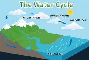 How would you explain the water cycle to a fifth grader