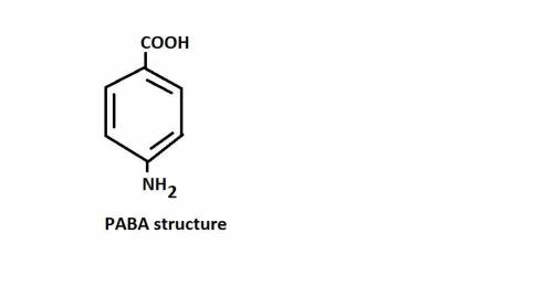 1. PABA is .  2. The molecule contains both a C O O H  group and an − N H 2  group. It can act like