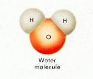 Which elements make up a water molecule? A).hydrogen and nitrogen B).oxygen and nitrogen C).oxygen a