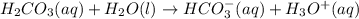 H_{2}CO_{3}(aq) + H_{2}O(l) \rightarrow HCO^{-}_{3}(aq) + H_{3}O^{+}(aq)