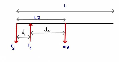 URGENTLY NEED HELP WITH PHYSICS? A vaulter is holding a horizontal 3.00-kg pole, 4.50 m long. His fr