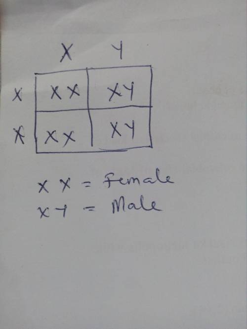 9. Consider the below Punnett square cross. Explain how you could use it to determine which parentde