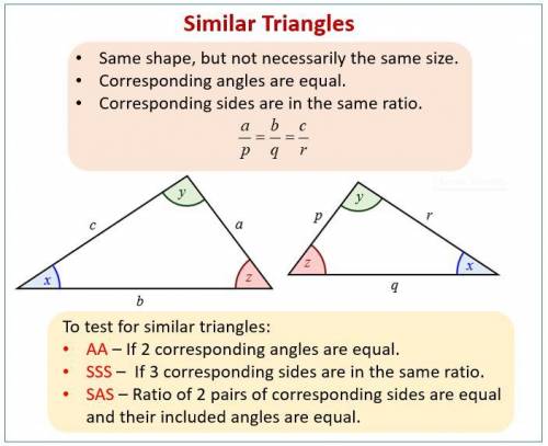 Which pair of triangles must be similar? A. Triangles 1 and 2 each have a 35° angle. B. Triangles 3