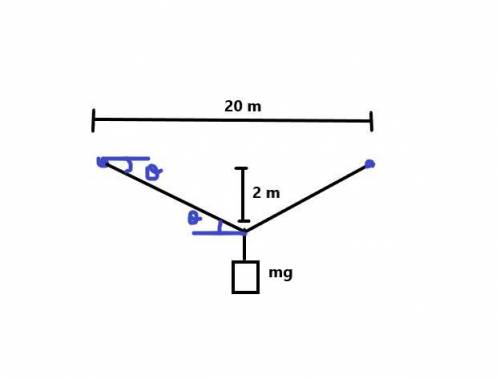 (1 point) A horizontal clothesline is tied between 2 poles, 20 meters apart. When a mass of 5 kilogr