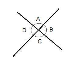 A pair of opposite congruent angles formed by intersecting lines is called