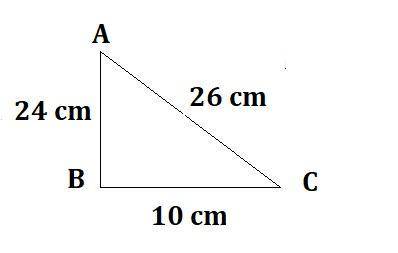 A right triangle has sides measuring 10, 24, and 26 cm. What is the measure of x to the nearest degr