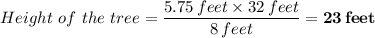\displaystyle Height \ of \ the \ tree = \frac{5.75 \, feet \times 32 \, feet}{8 \, feet}  =  \mathbf{23 \, feet}