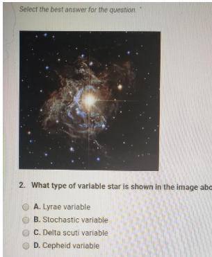 What type of variable star is shown in the image above? A. Cepheid variable B. Delta scuti variable