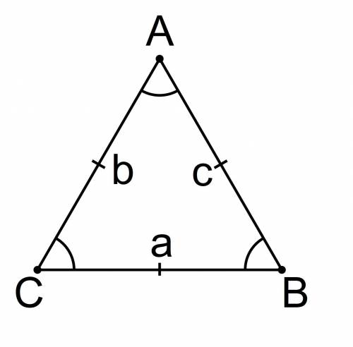 Write three facts about the triangle ABC