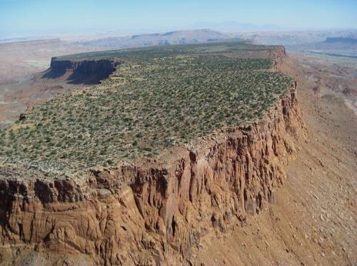 Araised flat area of flat land with steep cliffs, smaller than a mesa