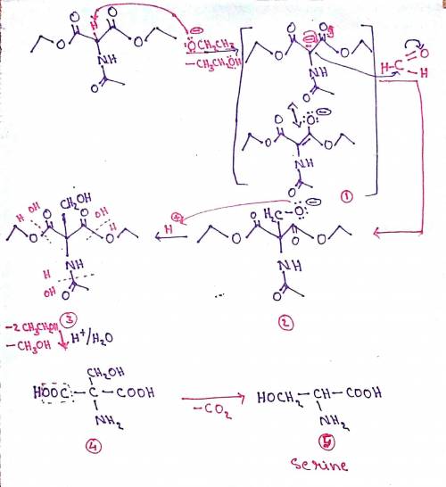 A variation of the acetamidomalonate synthesis can be used to synthesize serine. The process involve