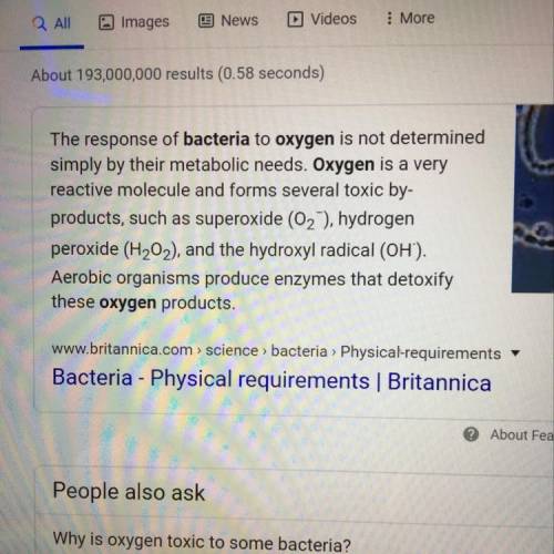 What effects does oxygen have on bacteria?