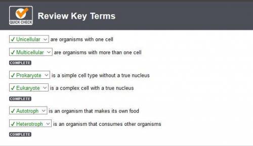 is an organism that makes its own food is an organism that consumes other organisms