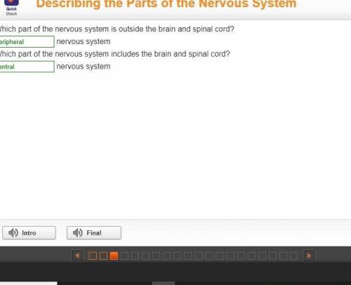 Which part of the nervous system is outside the brain and spinal cord ?   peripheral nervous system