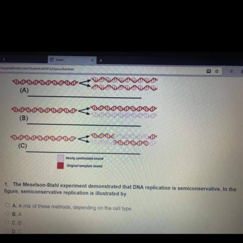 The medellin-stahl experiment demonstrated that dna replication is semiconservative. in the figure,