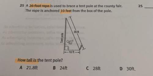 A26 foot rope is used to brace a tent pole at the county fair. the rope is anchored 10 feet from the