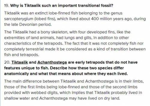 6. In fossils, what anatomical evidence indicates that gills were present?  7. Many transitional spe