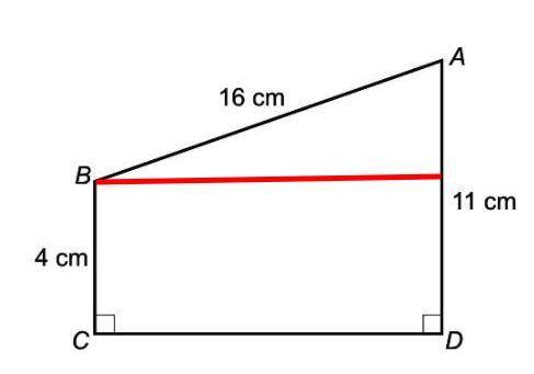 Calculate the missing measure of the line?