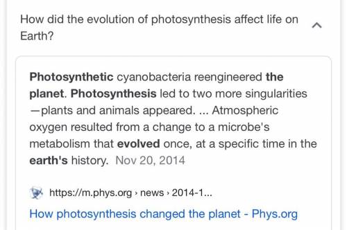 Why was the development of photosynthesis so important to the evolution of life?