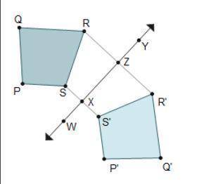 The image of trapezoid PQRS after a reflection across Line W Y is trapezoid P'Q'R'S'. 2 trapezoids a