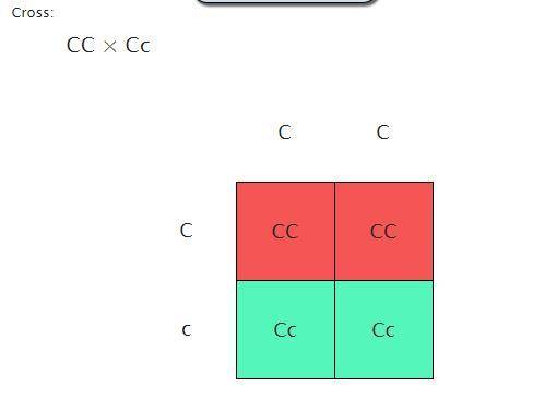 Red-green colorblindness is an X-linked recessive trait. If a woman who is heterozygous for the colo