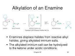 This reaction between an enamine and an alkyl halide involves the following steps: 1. The enamine ac