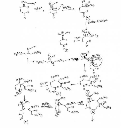 Cocaine has been prepared by a sequence beginning with a Mannich reaction between dimethyl acetonedi