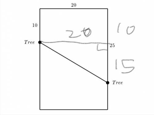 Ryan is putting a clothesline in his rectangular backyard. He wants to put it between two trees on t