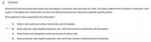 Researchers have found that mitochondria and chloroplasts in eukaryotic cells have their own DNA. Th