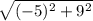 \sqrt{(-5)^2+9^2}